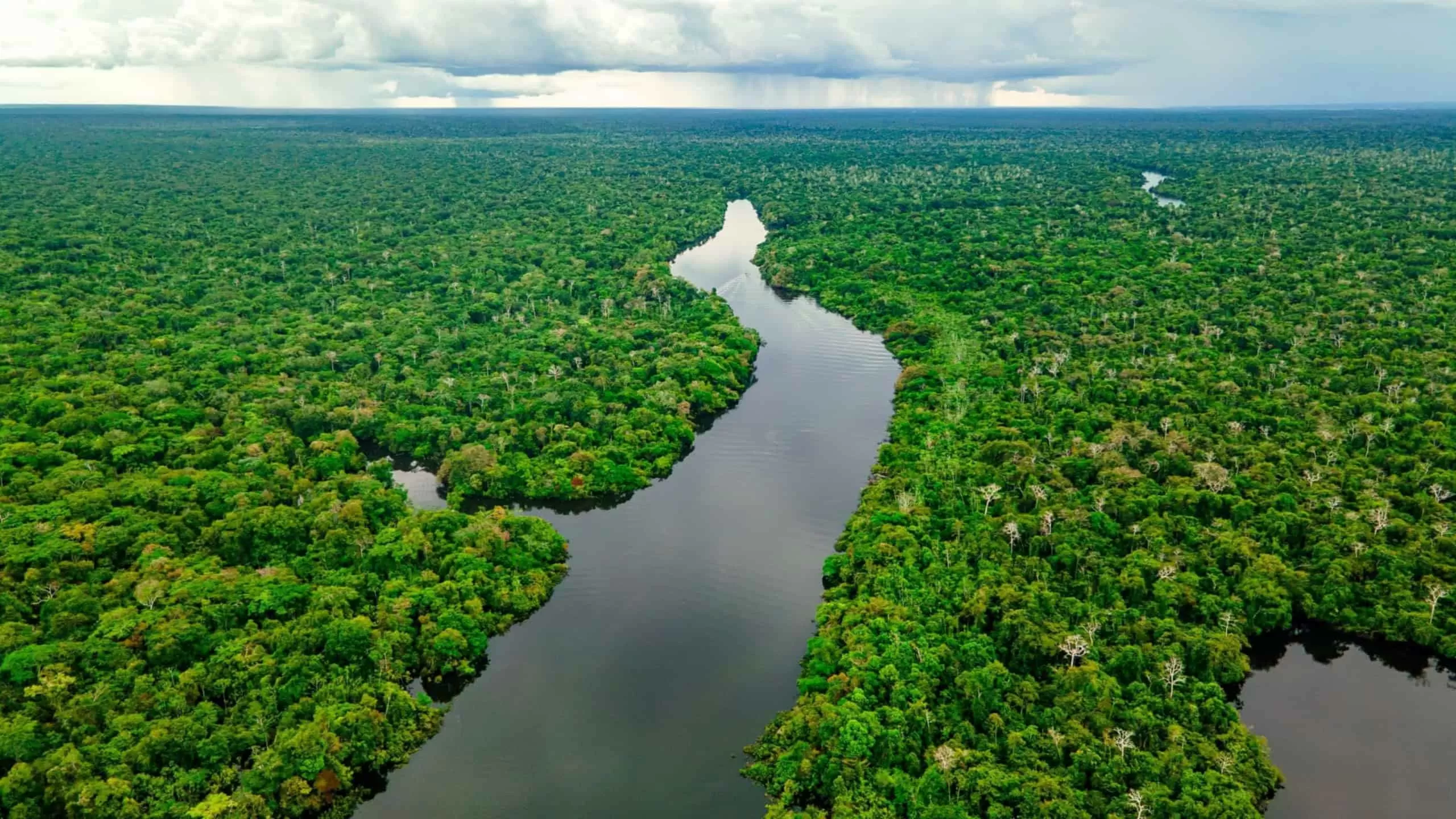 Plano Clima é aprovado e define ações do Brasil até 2035