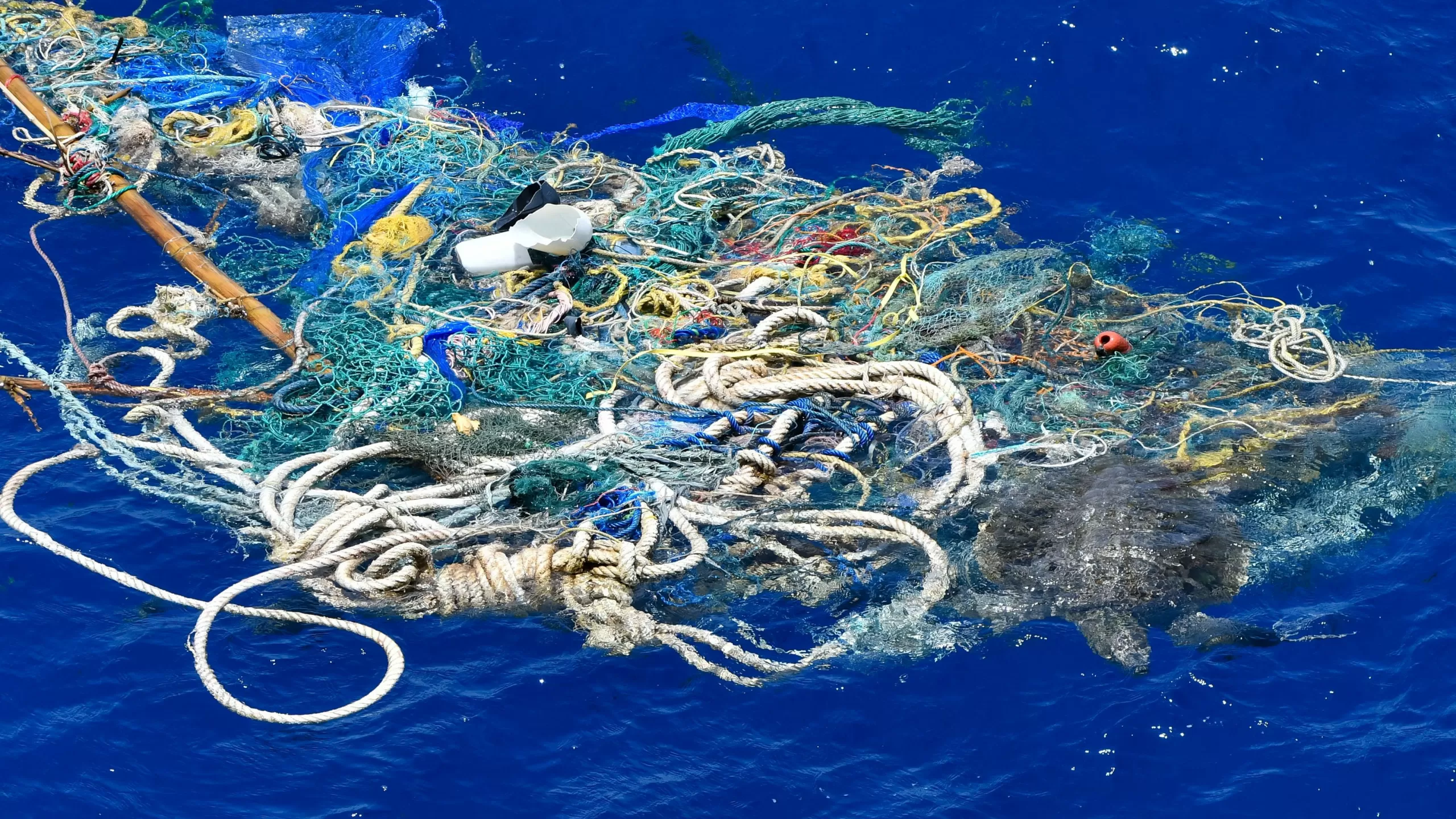 Conheça 8 ameaças que prejudicam os oceanos