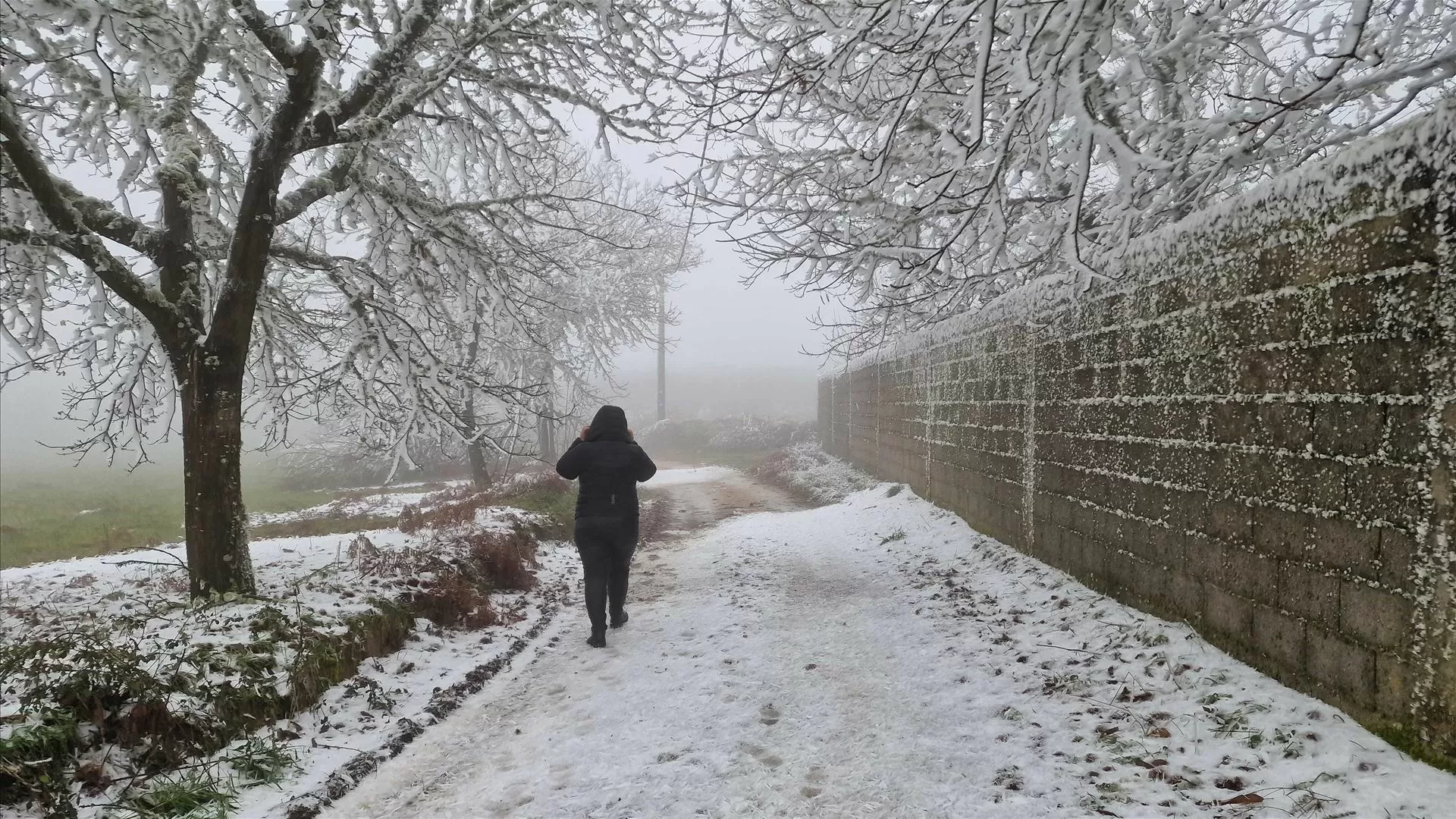Por que é que há tantas infeções no inverno se o frio não provoca gripe?