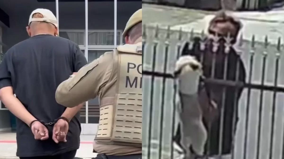 Homem flagrado furtando dois Shih Tzu, em Timbó, é preso por furto de bicicleta