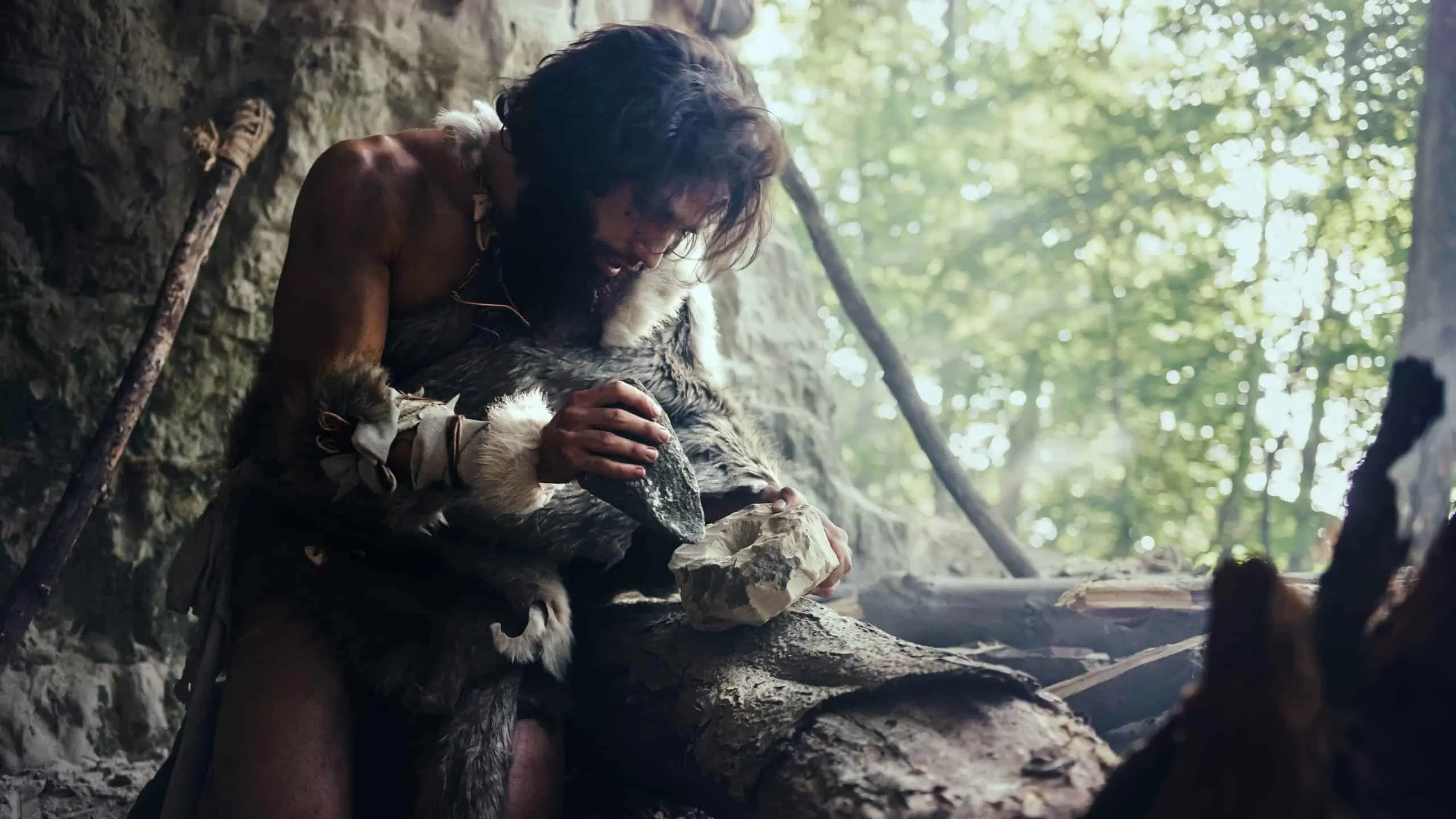 Antes do Homo sapiens: descoberta revela que hominídeos criavam ferramentas há 500 mil anos