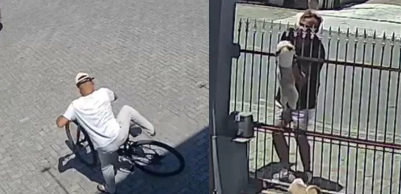 Após dizer que “vigia hackers”, homem que furtou bikes e cães em Timbó tem prisão em flagrante convertida