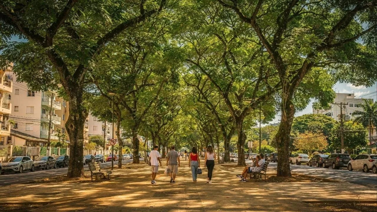 Verde na calçada acalma a mente e valoriza o metro quadrado em até 20%