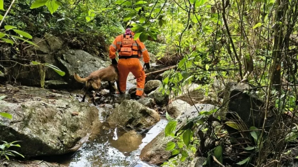 Bombeiros encontram corpo de homem desaparecido em riacho de difícil acesso, em Pomerode