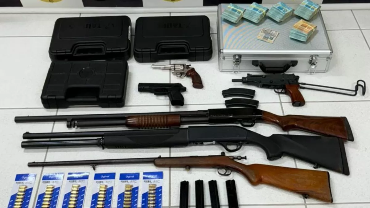Operação da Polícia Civil em Blumenau e Gaspar revela estrutura para rinha de galos e apreende arsenal de armas