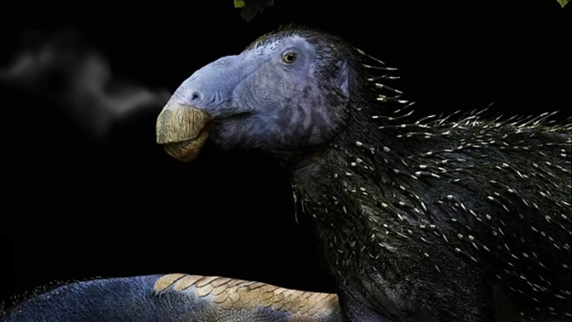 Dinossauro com 125 milhões de anos e picos idênticos ao porco-espinho descoberto na China