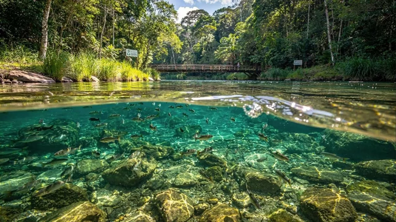 Nem maldivas, nem Cancún: O destino brasileiro que virou o primeiro ‘carbono neutro’ do mundo
