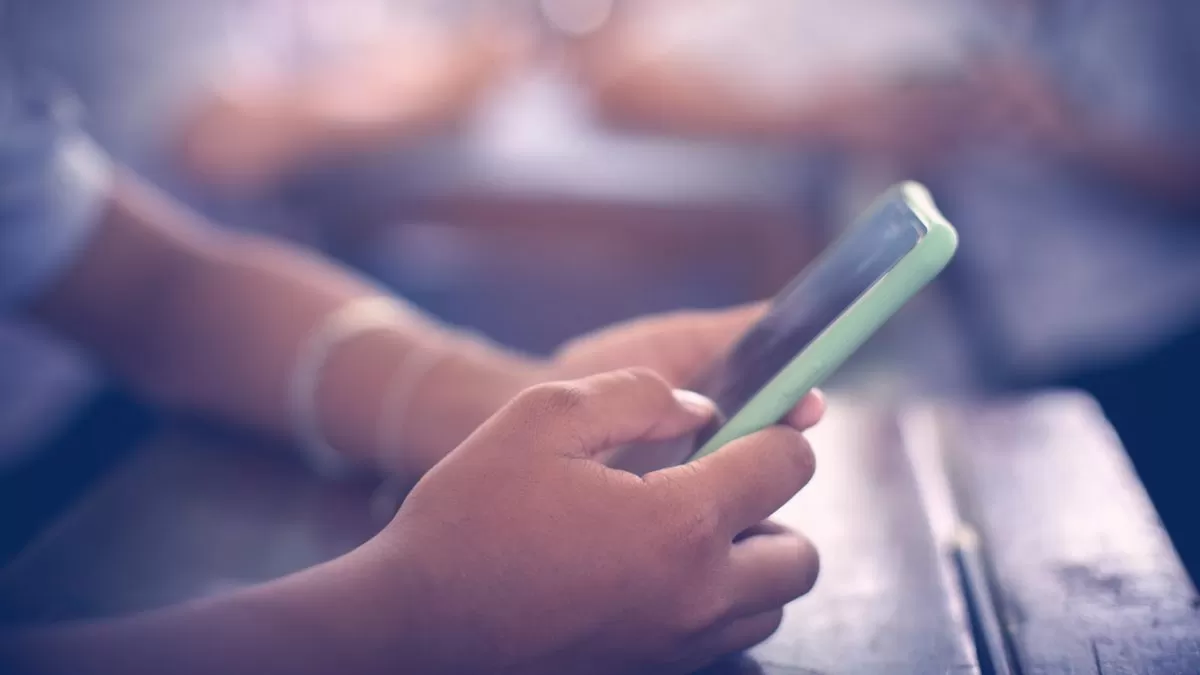 Vereadores aprovam restrição ao uso de celulares nas escolas municipais de Blumenau