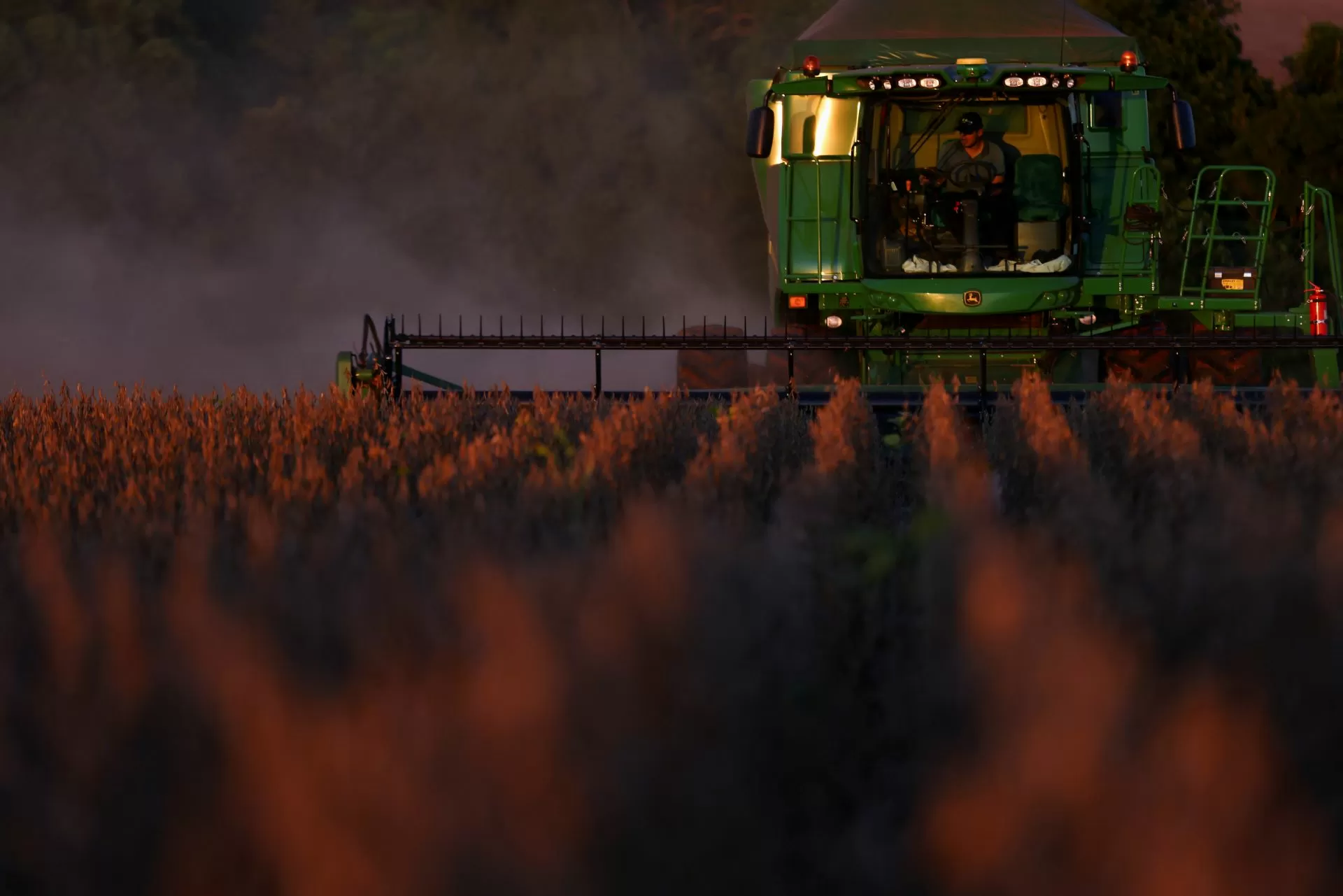 Colheita de soja do Brasil se aproxima de 40% da área, diz Pátria AgroNegócios