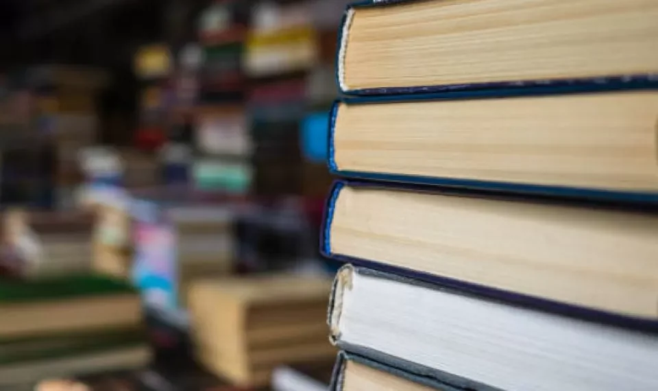 Recomendados Portafolio: Autocrítica a realidad política de USA