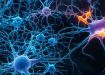 Esta es la enfermedad que ataca en mayor proporción a mujeres