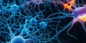 Esta es la enfermedad que ataca en mayor proporción a mujeres