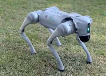 Conheça Rambo, o cão robô que vai atuar na segurança de escolas e faz até coraçãozinho