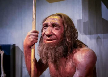 Uma diferença curiosa separa nossa língua da dos Neandertais; veja qual