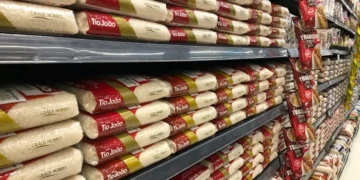 Conab anula leilão de arroz importado após suspeitas de irregularidades