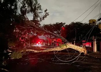 Base de Ricardo Nunes na Câmara Municipal encerra CPI da Enel com relatório que poupa a Prefeitura