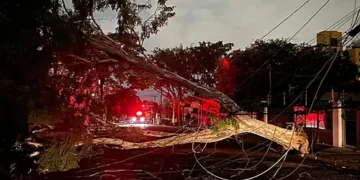 Base de Ricardo Nunes na Câmara Municipal encerra CPI da Enel com relatório que poupa a Prefeitura