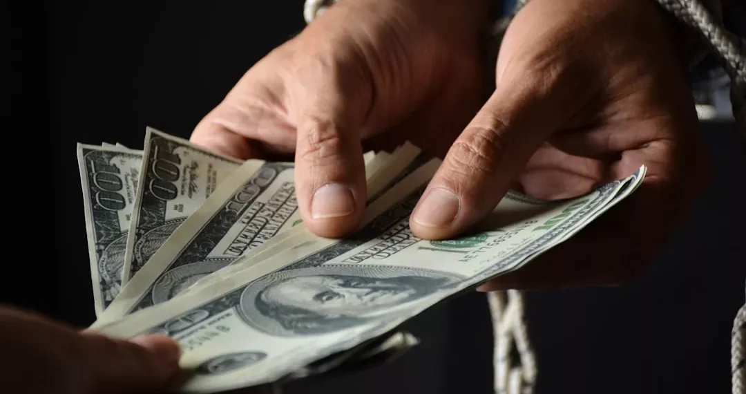 “Introdução à Economia: Produção, Distribuição e Consumo”