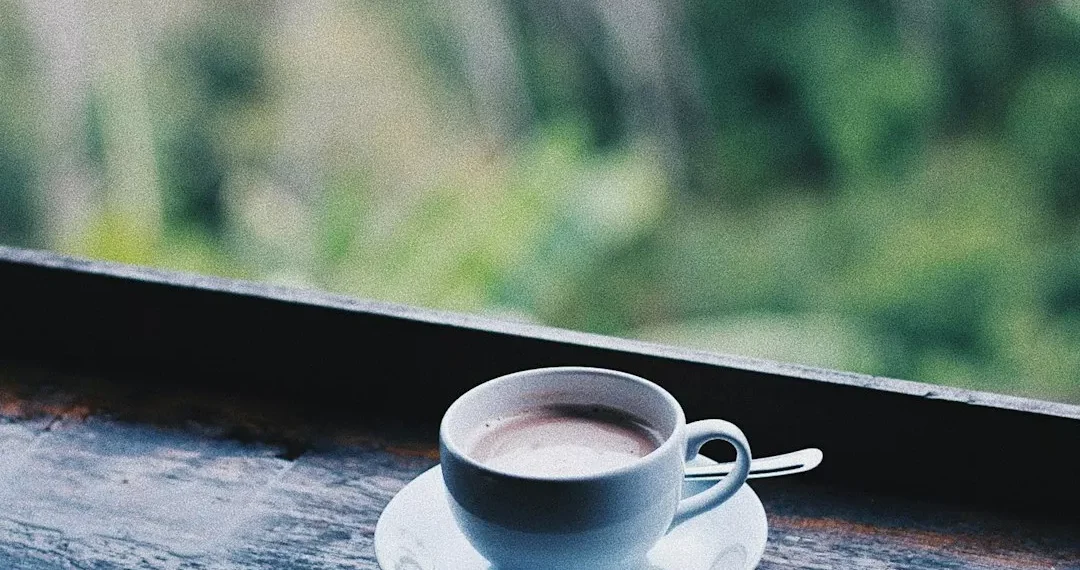 “Descomplicando Finanças: Como ter sucesso nos investimentos”