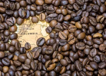 ¿Los ha escuchado? Los 3 mitos de café que dietistas recomiendan no creer