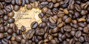 ¿Los ha escuchado? Los 3 mitos de café que dietistas recomiendan no creer