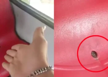 Conductor de SITP grabó la presencia de pulgas y garrapatas en una silla del bus