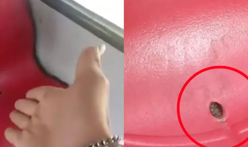 Conductor de SITP grabó la presencia de pulgas y garrapatas en una silla del bus