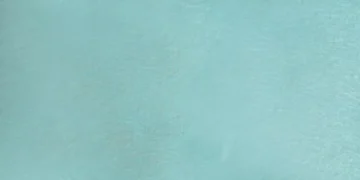 “A paixão universal pelo esporte”