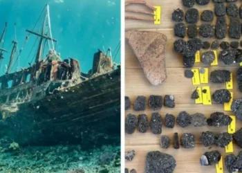 Cazadores de tesoros descubrieron monedas de plata de más de 300 años