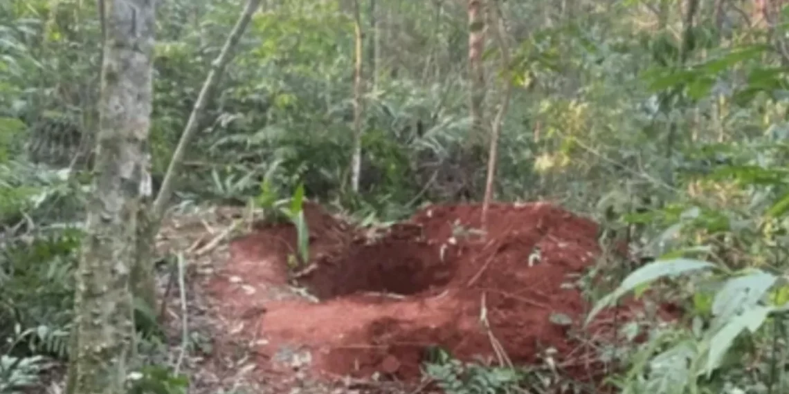 Mulher é encontrada morta com tiro na cabeça perto de cova em Chapecó