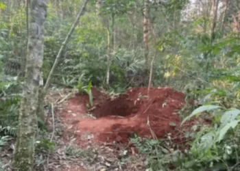 Mulher é encontrada morta com tiro na cabeça perto de cova em Chapecó