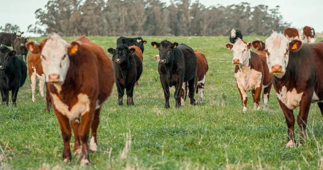 “Economia: Mais que números, uma ciência social transformadora.”