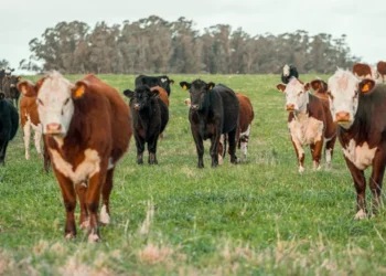 “Economia: Mais que números, uma ciência social transformadora.”