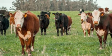 “Economia: Mais que números, uma ciência social transformadora.”