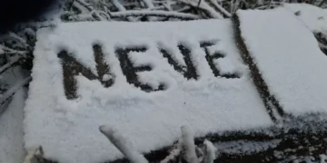 Frente fria traz queda de temperatura e possibilidade de neve em SC