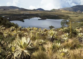 El 80% de los colombianos cree que esta situación en el país es crítica