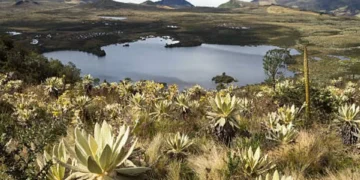 El 80% de los colombianos cree que esta situación en el país es crítica