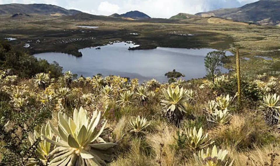 El 80% de los colombianos cree que esta situación en el país es crítica