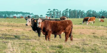 “O Mercado Imobiliário e a Economia Mundial: Impulsionando o Desenvolvimento”