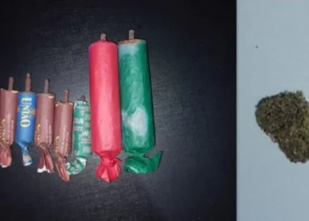 Jovem de 20 anos lança rojão em via pública e é abordado pela PM em Timbó