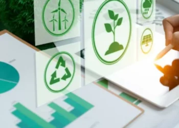 Recomendados Portafolio: Liderar hacia la sostenibilidad