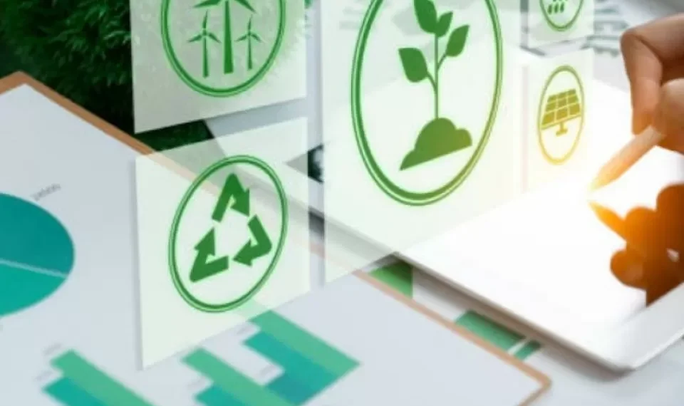 Recomendados Portafolio: Liderar hacia la sostenibilidad