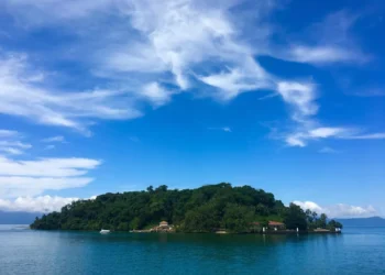 “Equilíbrio  e mental: a chave para uma vida saudável”