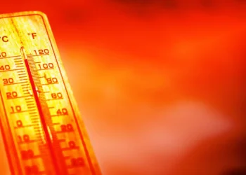 Focos de calor misteriosos (e mortais) têm aparecido planeta afora