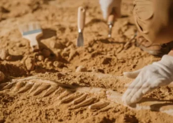 Las piezas arqueológicas que continúan siendo un enigma para los expertos