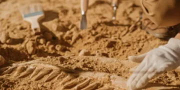 Las piezas arqueológicas que continúan siendo un enigma para los expertos