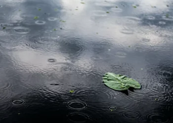 Frente fria traz temporais isolados no sábado em SC