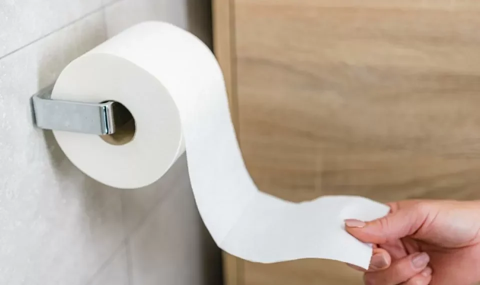 ¿Qué usaba la gente antes de que existiera el papel higiénico?