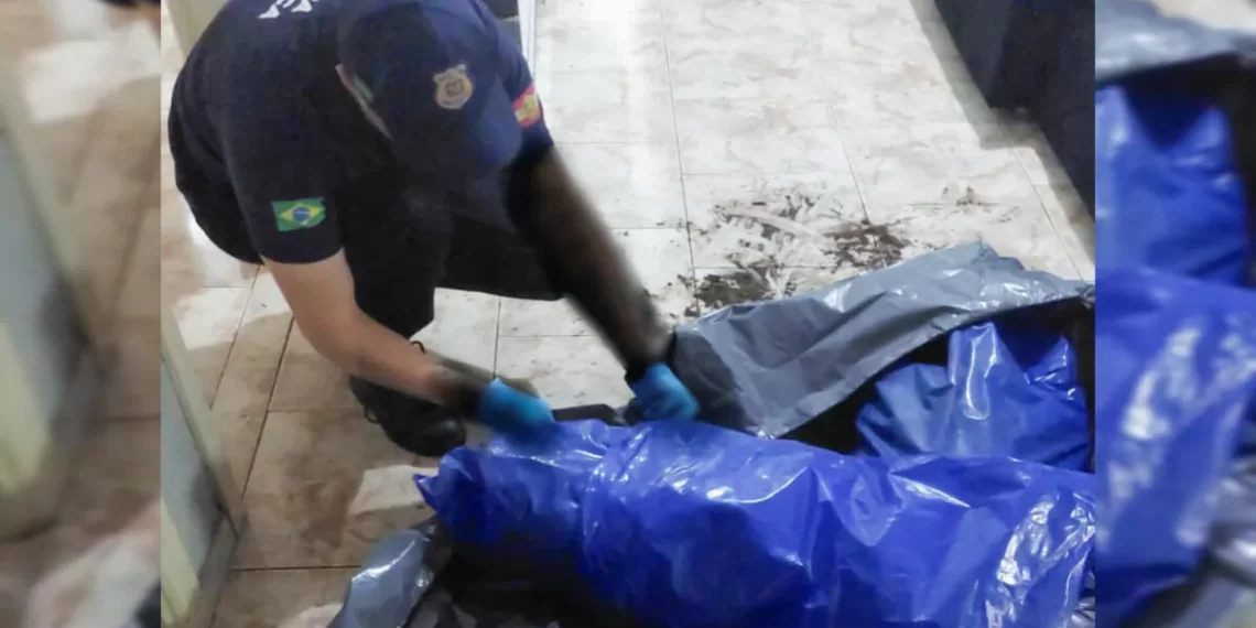 Ossada encontrada em forro de casa em SC pertence a dois irmãos