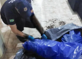 Ossada encontrada em forro de casa em SC pertence a dois irmãos